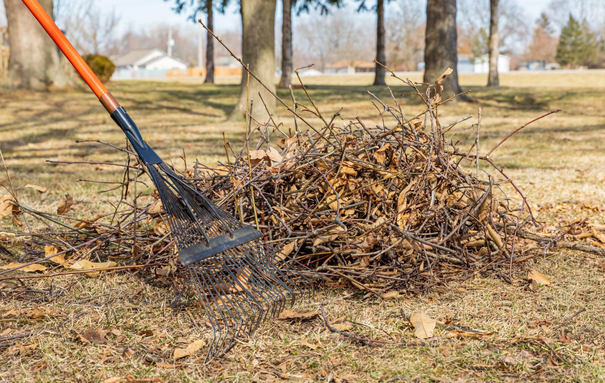 Spring and fall property cleanup