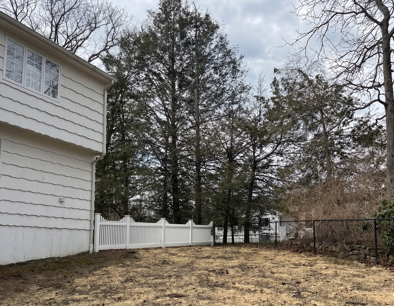 Tree pruning project in Connecticut