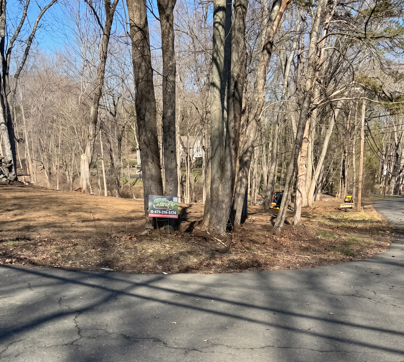 Tree service in CT for tree removal near a residential property