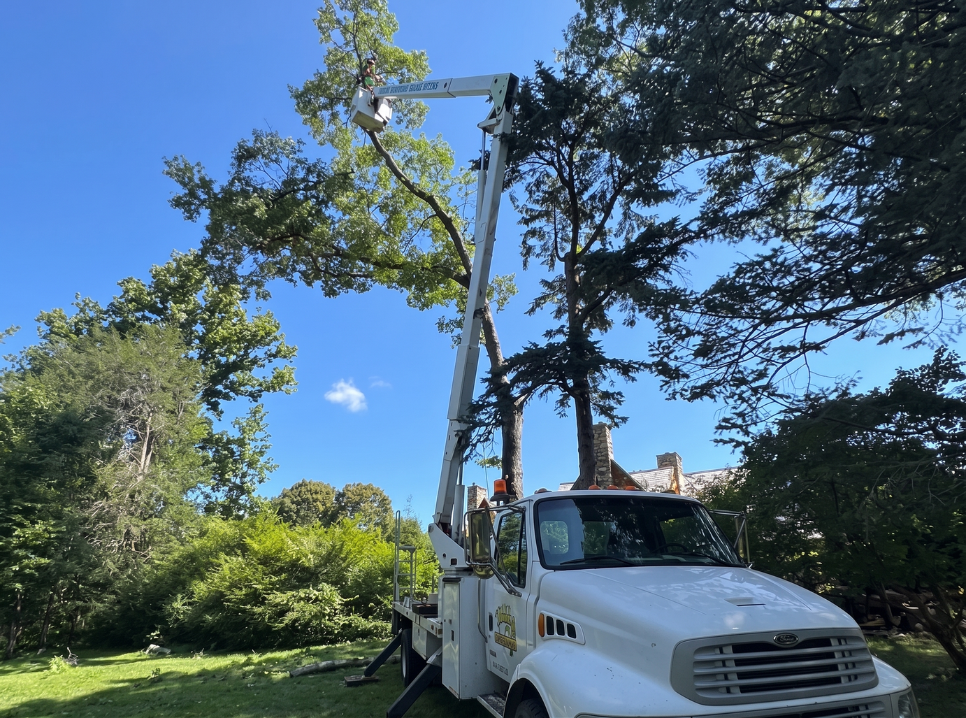 Tree trimming service in Connecticut