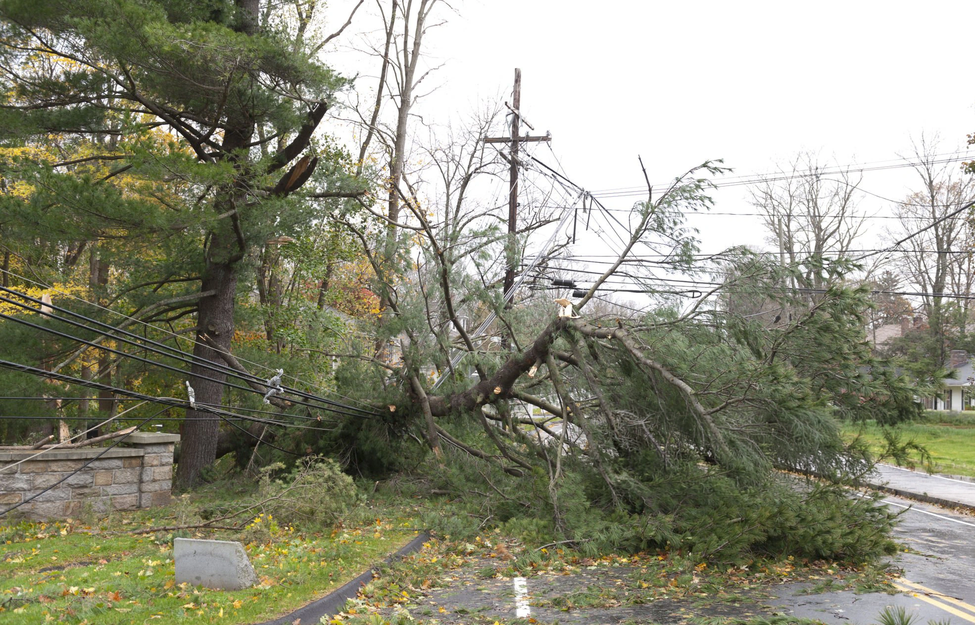 Storm emergency tree service in Connecticut