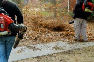 Autumn leaves cleaning of the territory from leaves in autumn people with brooms, raking