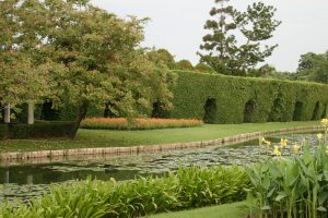 Outdoor landscape garden with pond