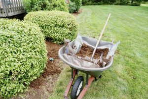 wheelbarrow-full-of-mulch-in-a-yard-2024-10-18-07-27-08-utc (3)